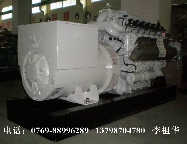 德國曼沼氣發(fā)電機(jī)組