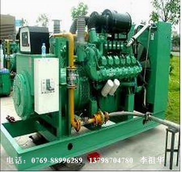 大宇天然氣發(fā)電機(jī)組
