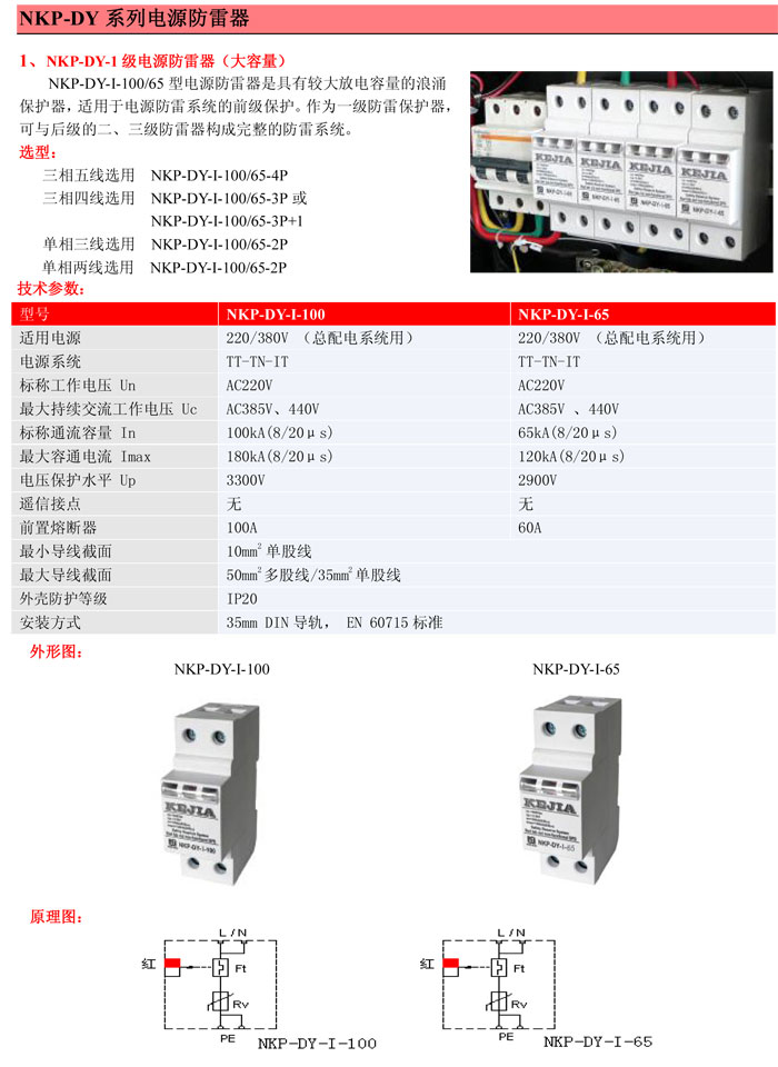 科佳NKP-DY-I电源防雷器