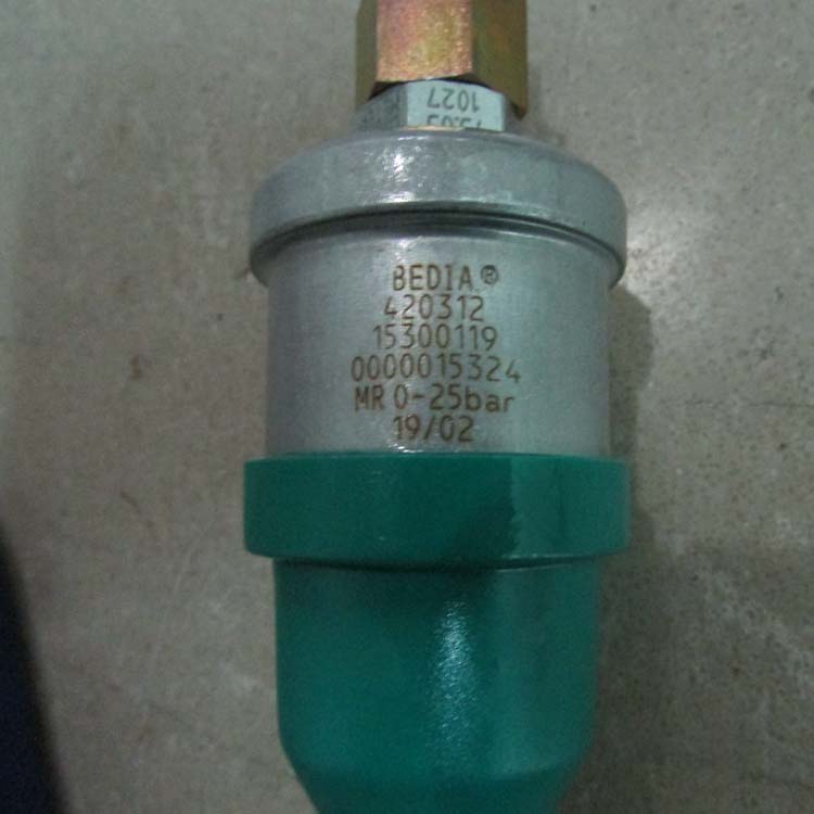 BEDIA温度变送器500058