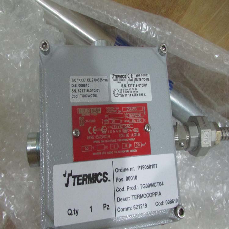 Termics探头TG00WCT02P1 