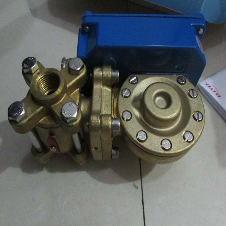 ELETTA流量表S25-PC0332-43A/RL 