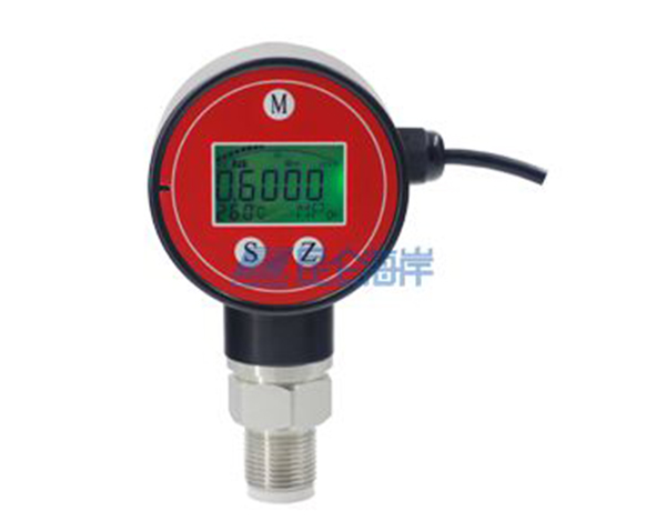 昆仑海岸轻量型压力变送器 JYB-KO-Q