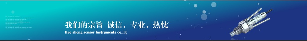 佛山市顺德区昊胜传感仪器有限公司