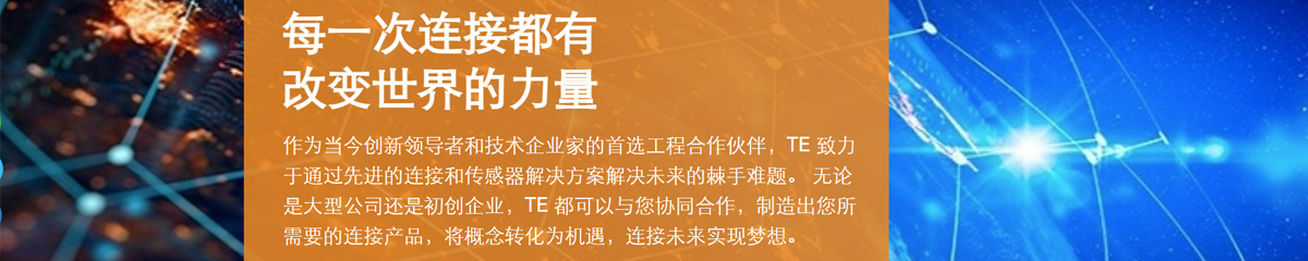 泰科电子（上海）有限公司