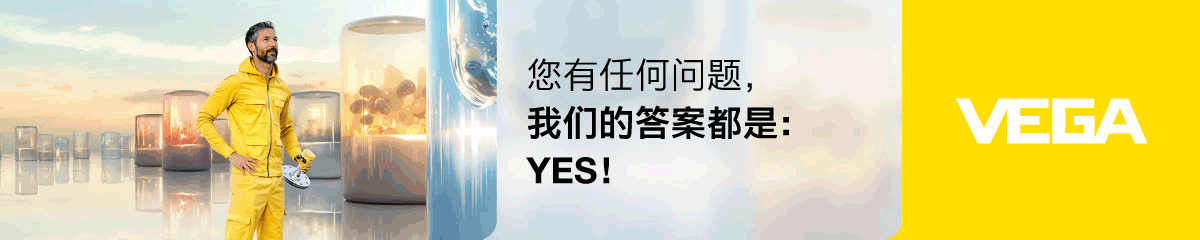 威格（中国）仪表有限公司
