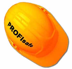 PROFIsafe:用于过程自动化和工厂自动化的安全化标准如图