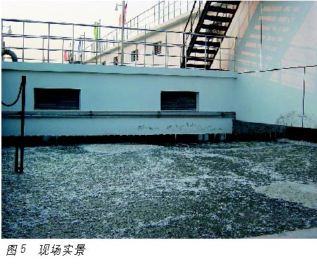 如图5