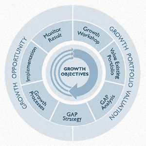 GROWTH OBJECTIVES