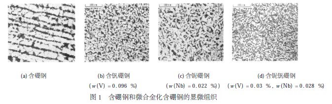 　含硼钢和微合金化含硼钢的显微组织