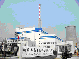 山东省委书记张高丽视察国内首个生物发电厂项目如图