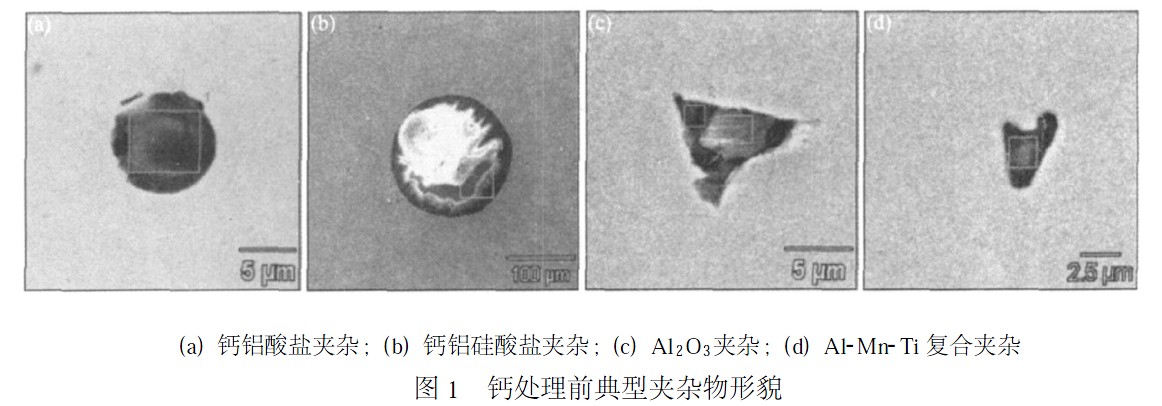 典型夹杂物形貌