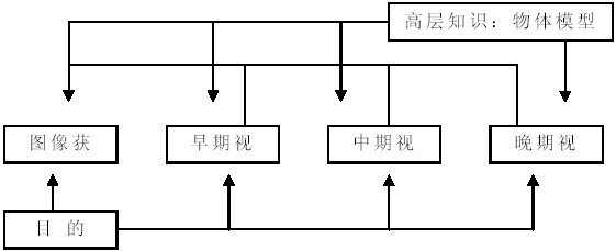 　补充的Marr 理论框架