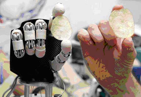 意大利科学家发明可用大脑控制的电脑手如图