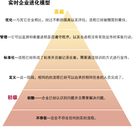 实时企业进化模型