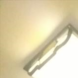 a15213631817