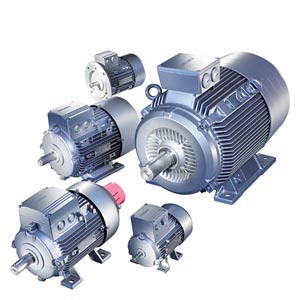 25e49fe1-2bf0-46e0-8fdc-e8196dfe514e.jpg