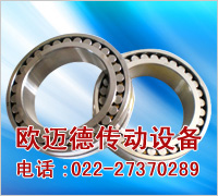 天津欧迈德机械传动设备有限公司