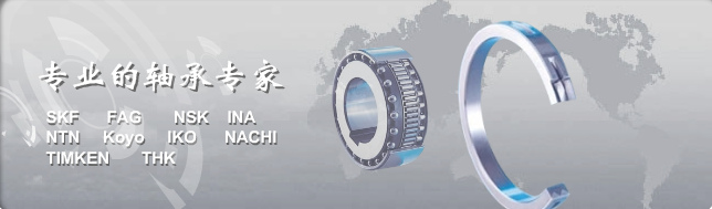 深圳市比尔斯顿轴承有限公司